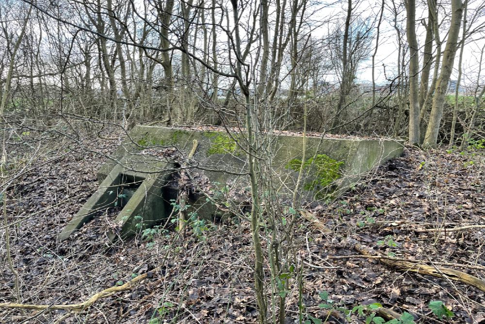 Group Shelter Type 1918/I Velserbroek #1