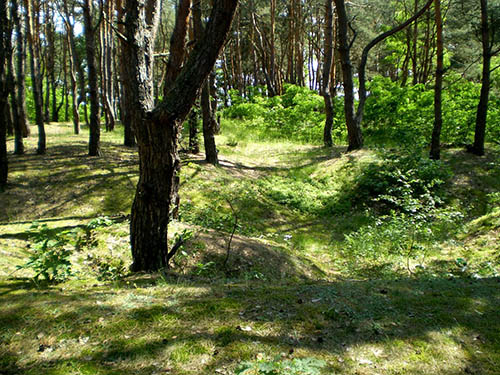 Russian Trenches #1