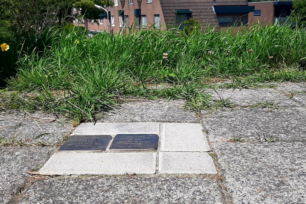 Stolpersteine Ringdijk / Maasplein #2