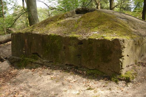 Air Raid Shelter Camp Hannover-Stöcken #2