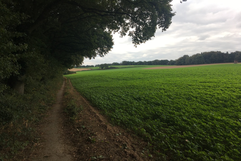 Foxholes Duivelsberg