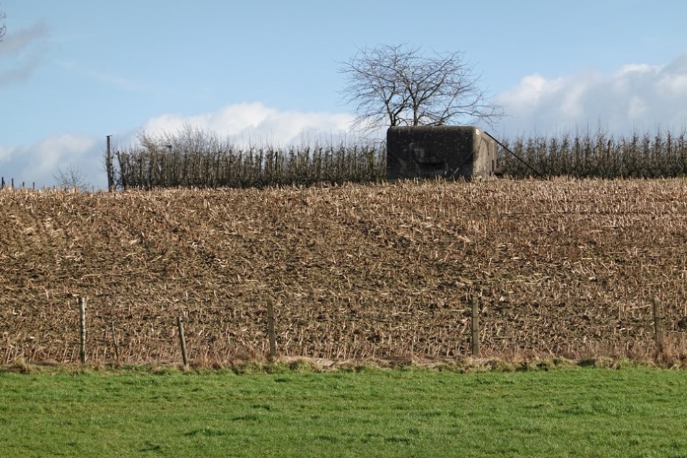 Observation Bunker NV 6 Bombaye