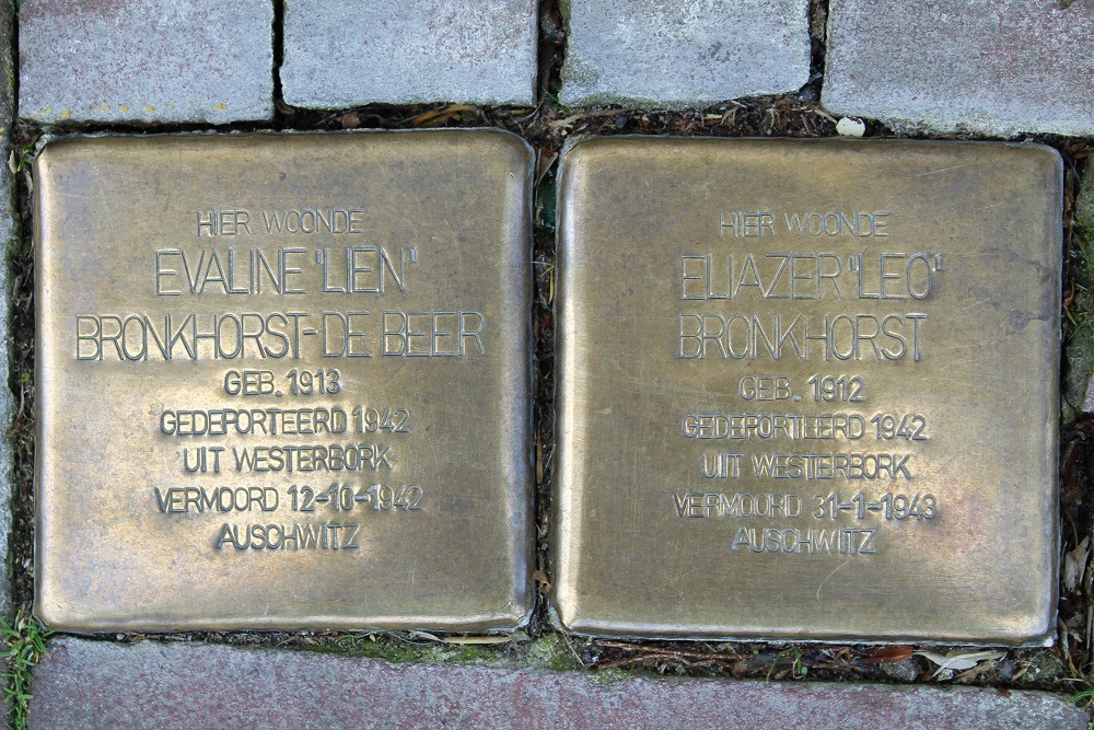 Stolpersteine Theresiastraat 111 #1