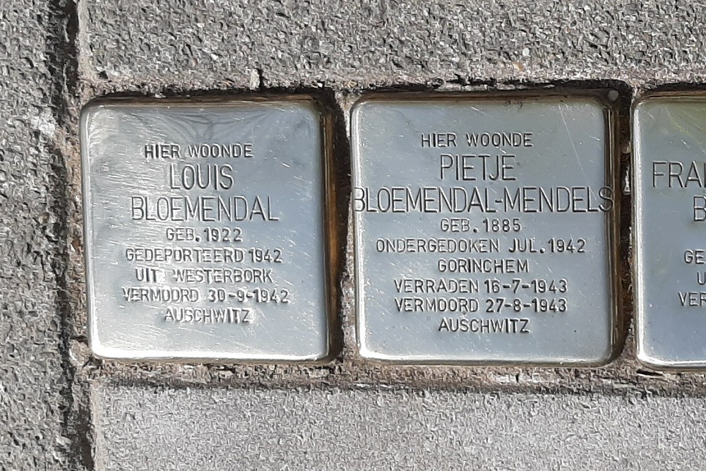 Stolpersteine Danie Theronstraat 8 #2