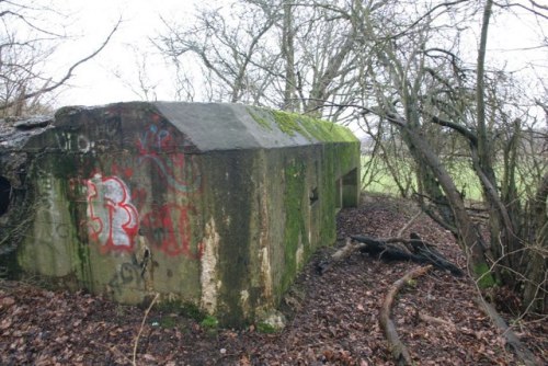 Pillbox FW3/28 Sulham #2