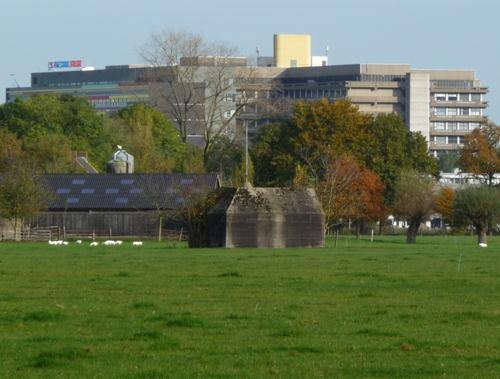 Group Shelter Type P Scheidingslaan