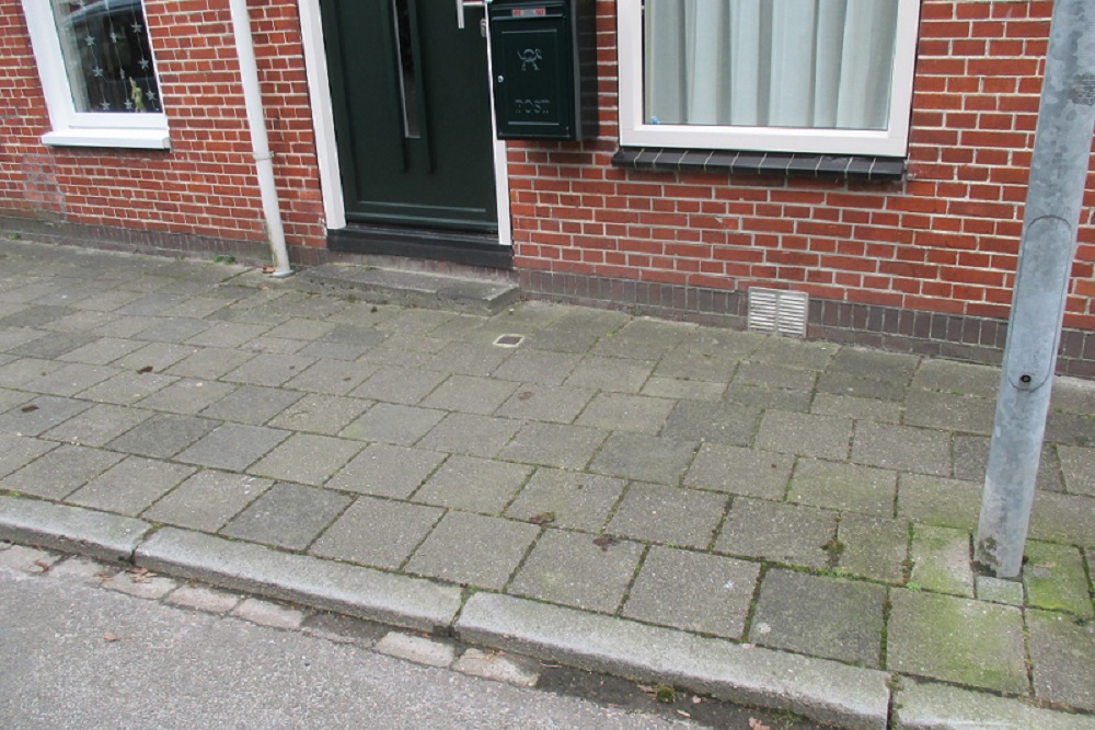 Stumbling Stone Netweg 2 #3