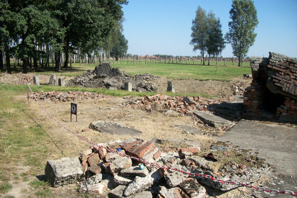 Remains of Gas Chamer 3 Auschwitz II (Birkenau) #4