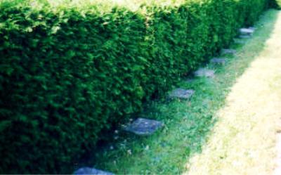 German War Graves Hennef (Schulstrae)