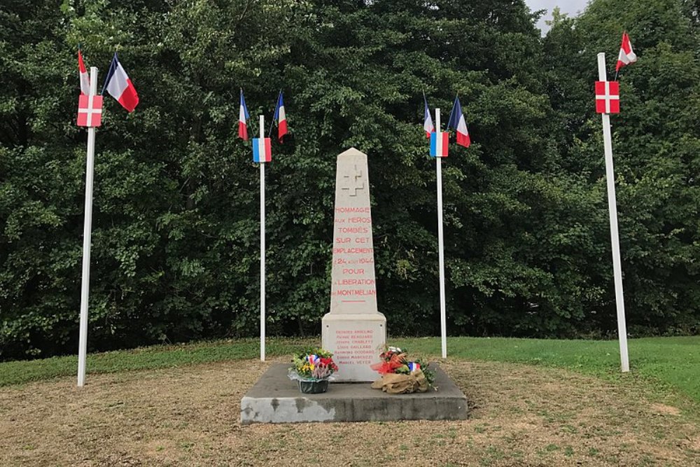 Monument Bevrijding Montmélian #1