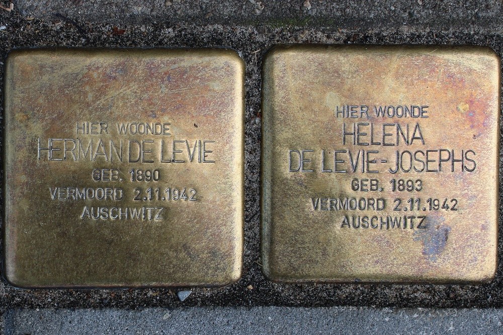 Stolpersteine Citadellaan 59 #2