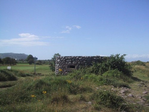 Pillbox FW3/24 Dunster #1