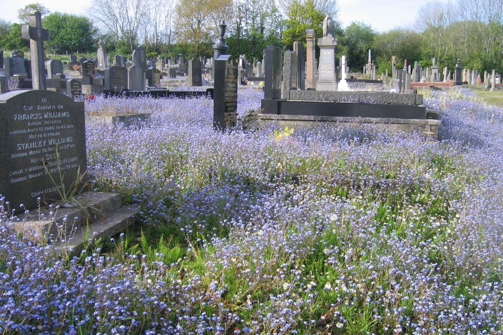 Oorlogsgraven van het Gemenebest Adulam Baptist Burial Ground #1