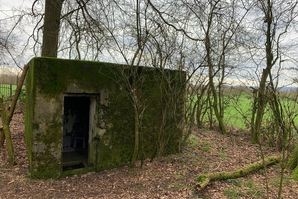 Bunker C - Position Avance Grunhaut #4