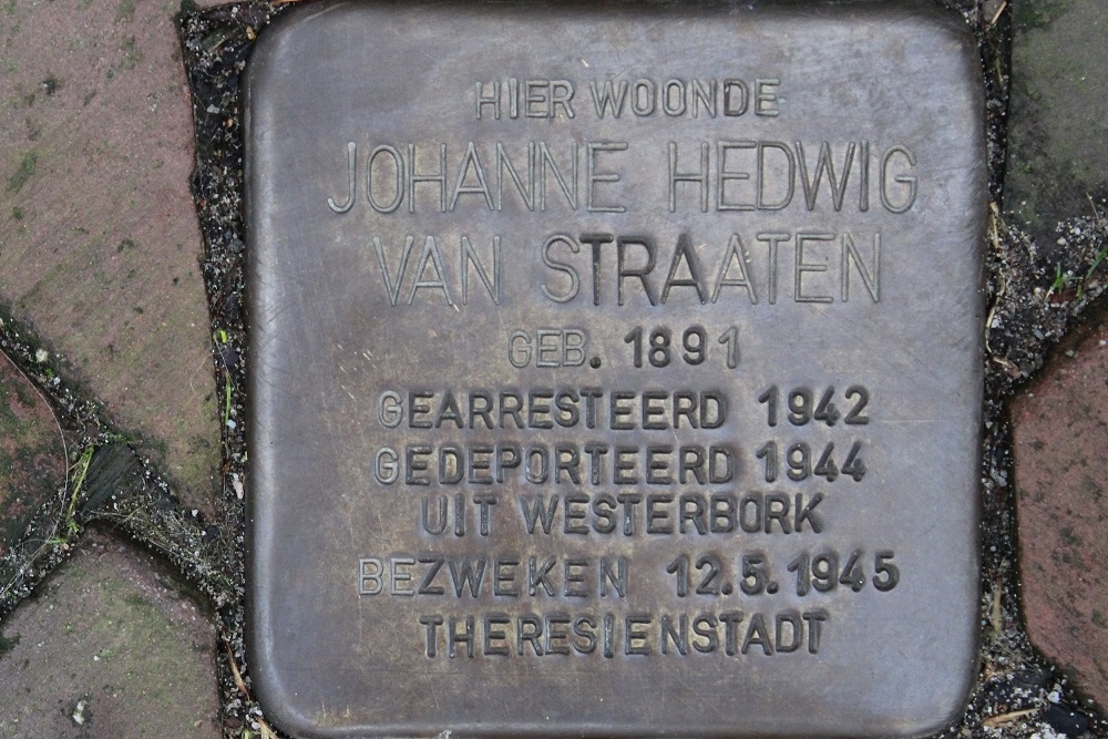 Stolpersteine Binnenweg 91 #2