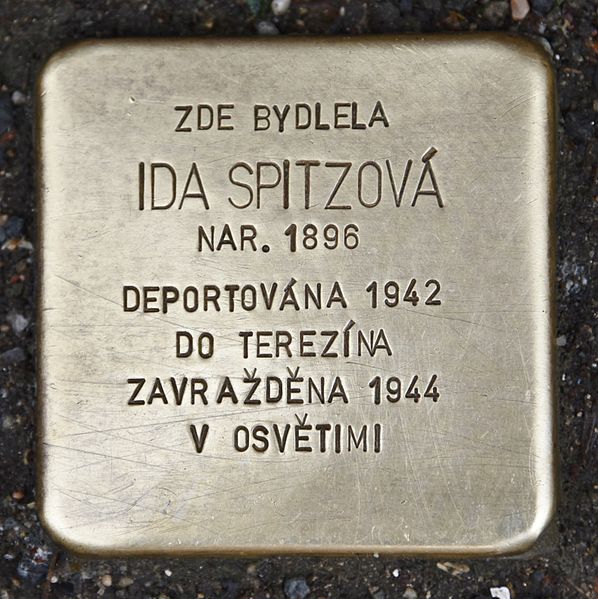 Stolpersteine Komenskho 913/29 #3