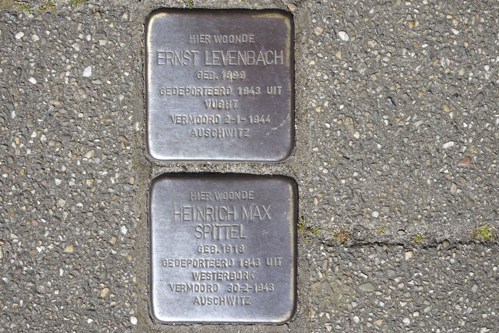 Stolpersteine Drieboomlaan 19