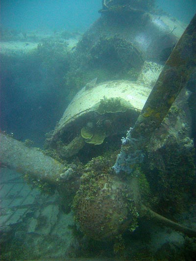 Crash Site & Remains Kawanishi H8K Flying Boat #4