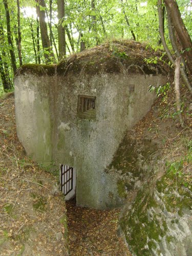 Benešova Line - Casemate LO vz.37 #1
