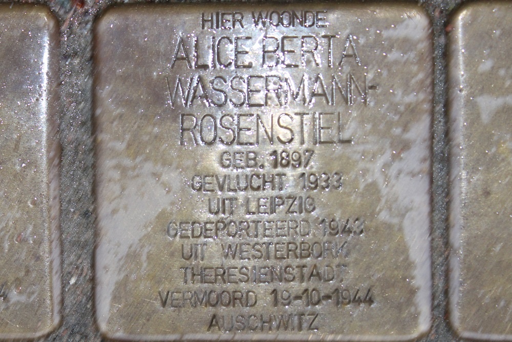 Stolpersteine Stadionweg 65 #3