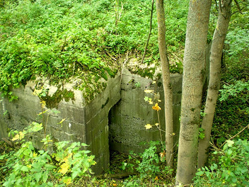 Molotov LIne - Casemate (No. 535) #1