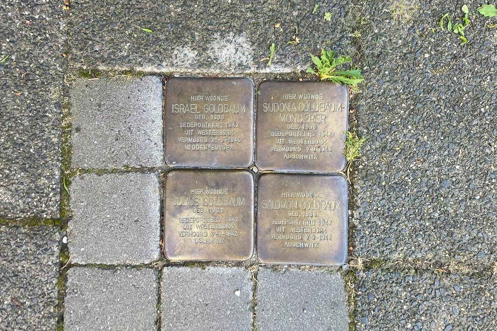 Stolpersteine Nassaulaan 19