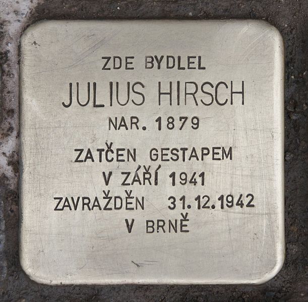 Stolpersteine B. Němcov 146/1 #2