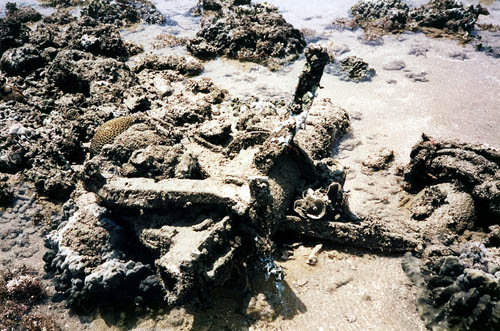 Crash Site & Remains Dutch B25 Mitchell Bomber Nightcliff #2