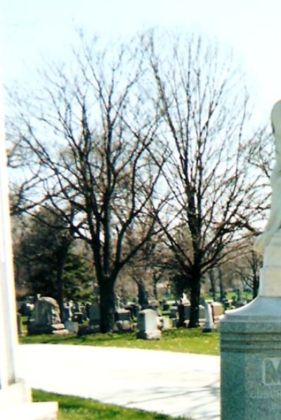 Commonwealth War Grave Mt Olivet Catholic Cemetery