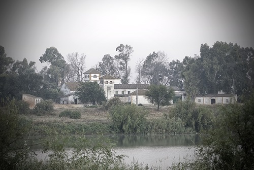 Cortijo Gambogaz y Hacienda San Gonzlez #1