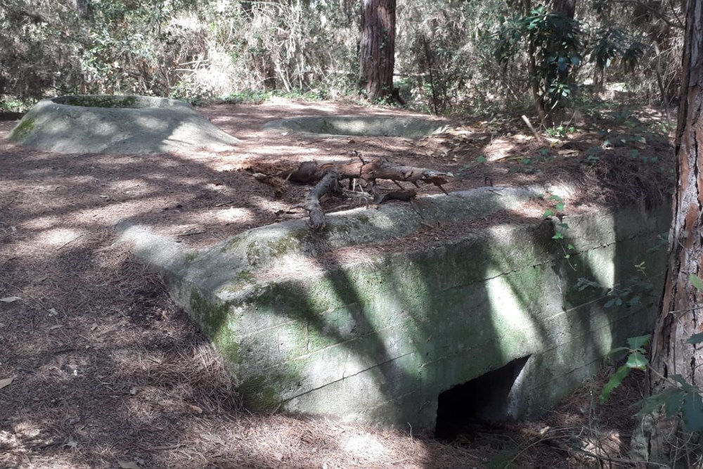 Bunker Remnants Cecina #1