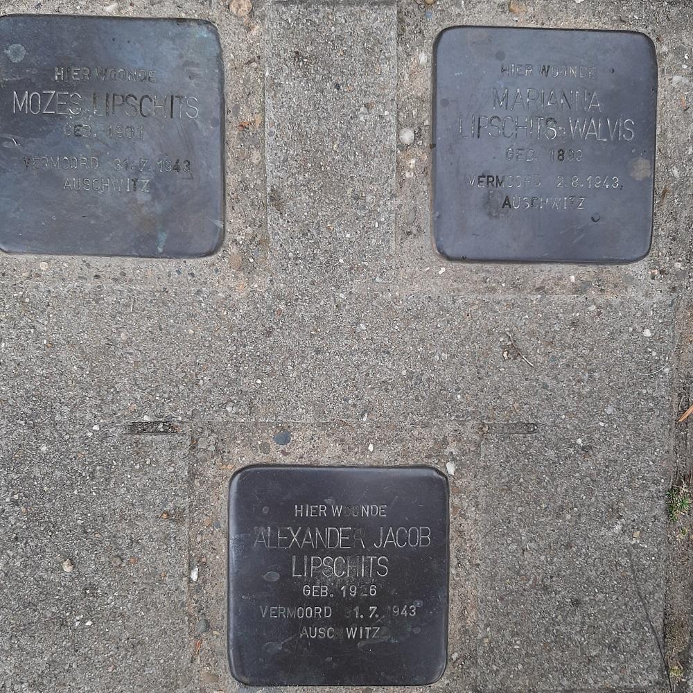 Stolpersteine Mergelweg 135 #5