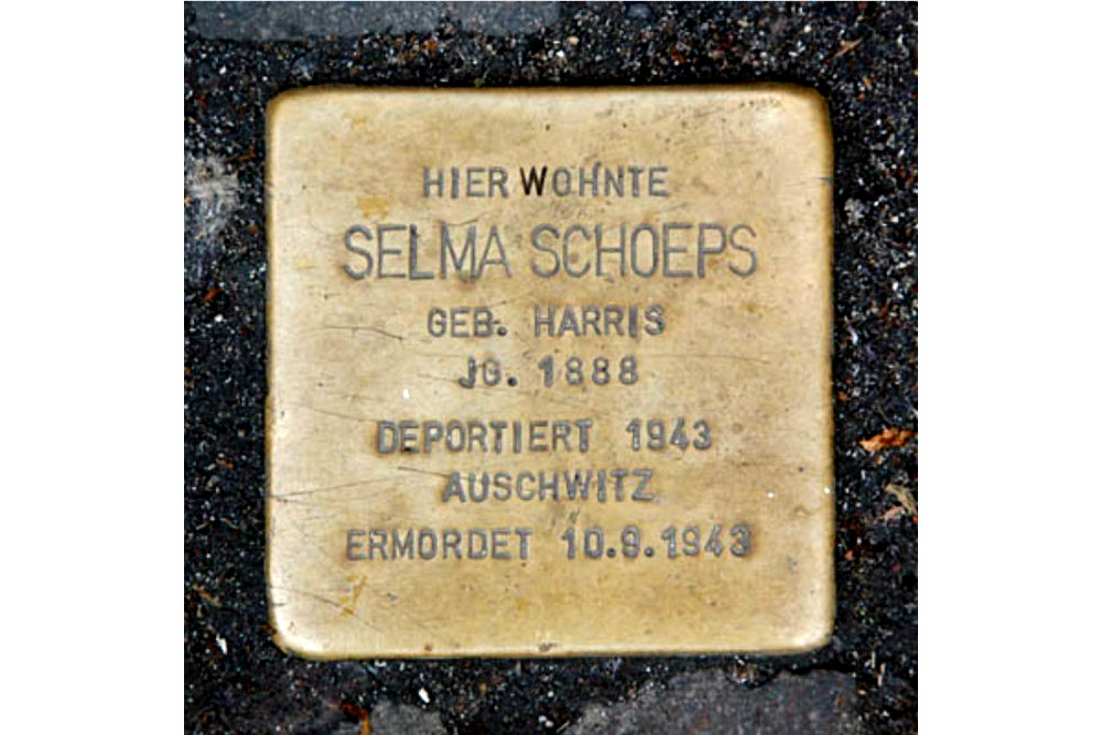 Stumbling Stone Saalburgstrae 19