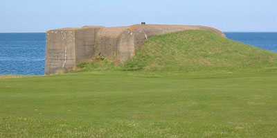 Fort Henry #3