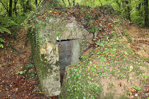 German Observation Bunker Croix des Carmes #2