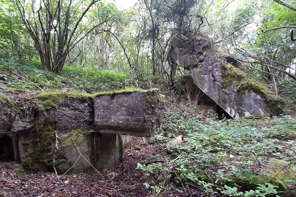 Flakstellung Zingsheim Bunker 2 #5