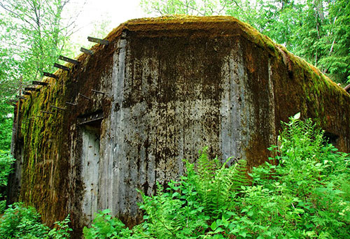 Stalin Line - Artillery Casemate No. 15