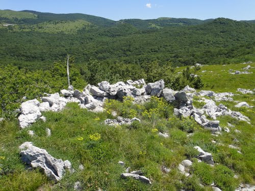 Rupnik Line - Artillery Position Kamenjak #3