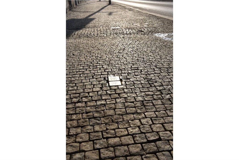 Stolpersteine Ranovo nbře 1696/66 #2