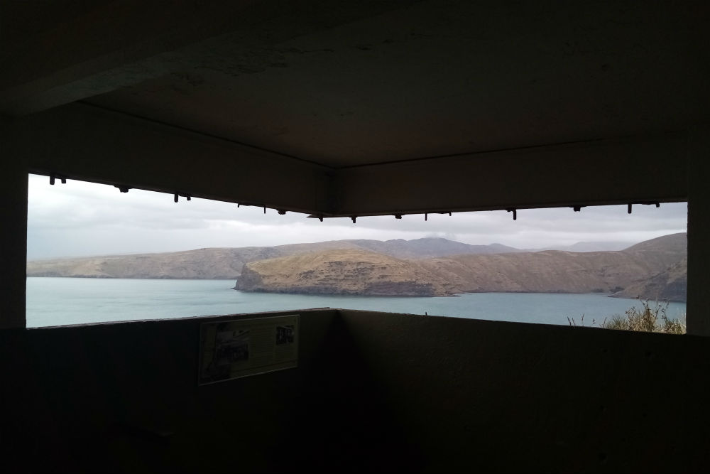 Gun Emplacements Godley Head #4