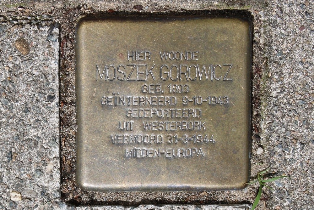 Stolperstein Waverstraat 38