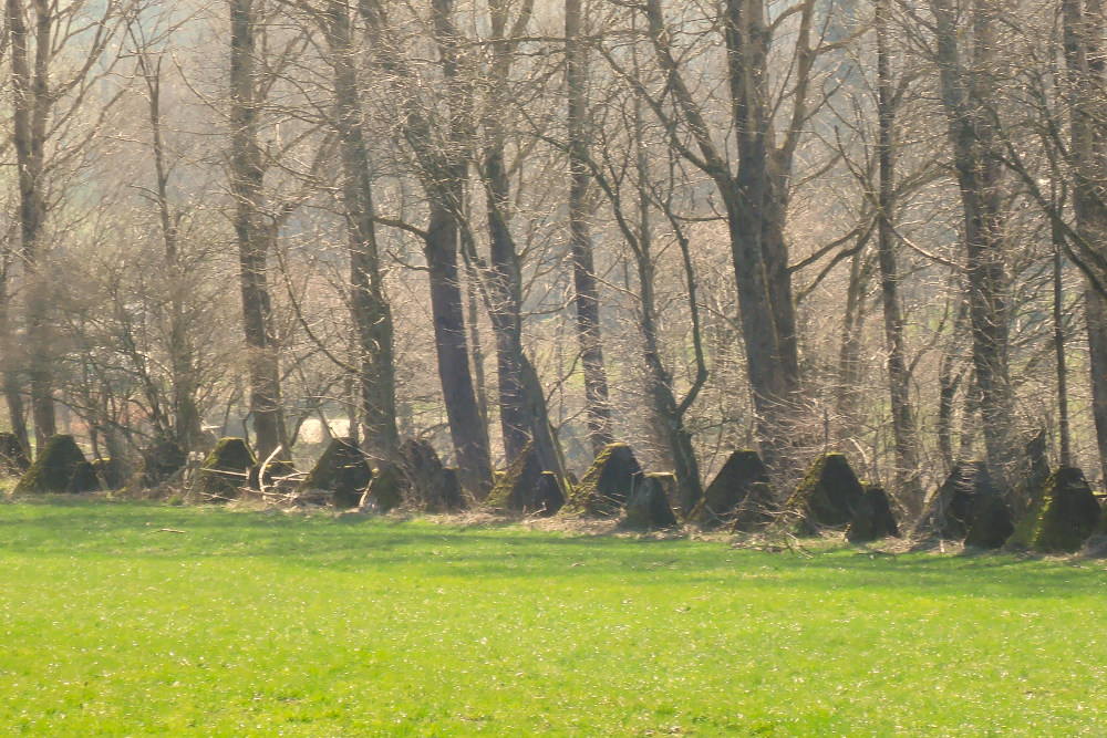 Westwall - Tank Barrier Bickerath #3