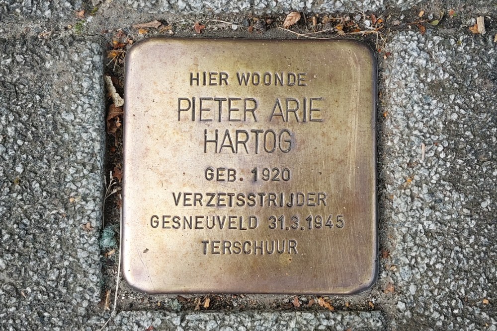 Stumbling Stone Bentinckstraat 24 #3