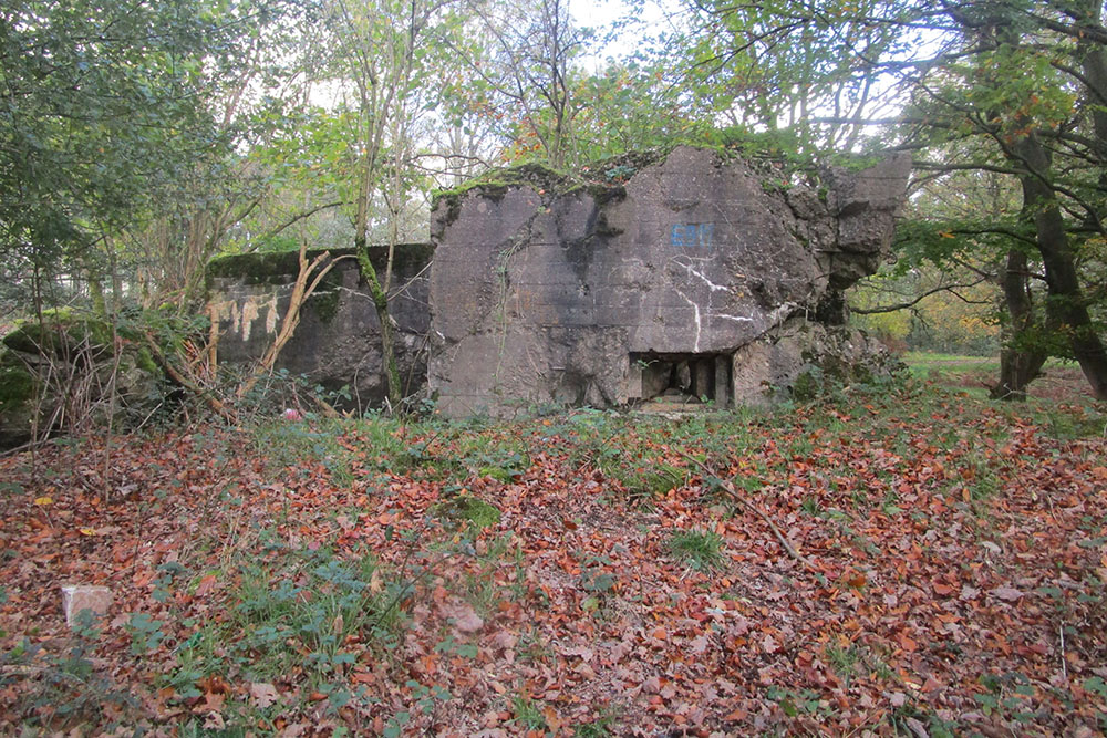 Westwall - Remains Bunker 482 (Regelbau 10 Gruppenunterstand) #1