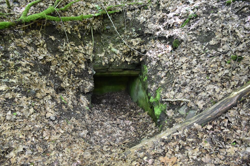 Concrete Defense Structures Devèze Line Bodange #5
