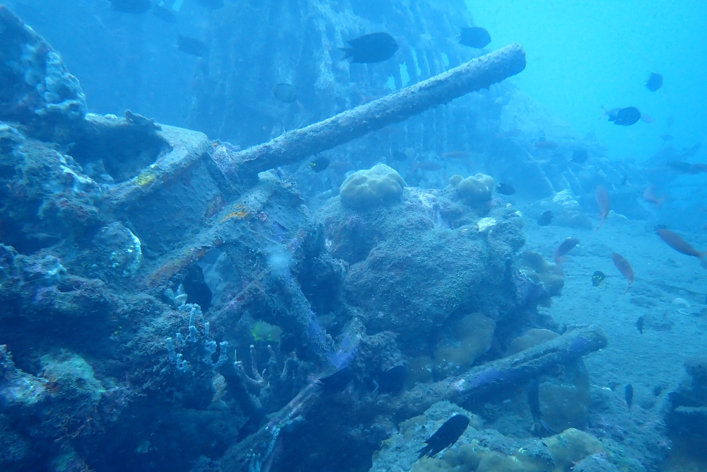 Crash Site & Remains B-17E 