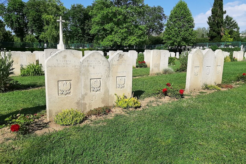 Commonwealth War Cemetery Belgrade #4