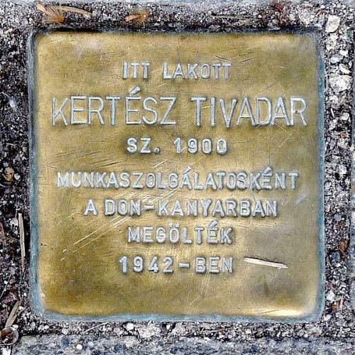 Stolpersteine Bethlen Gbor tr 3 #2