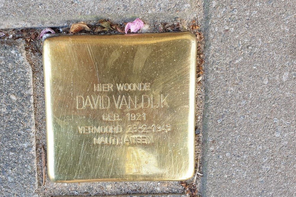 Stolperstein Swammerdamstraat 8