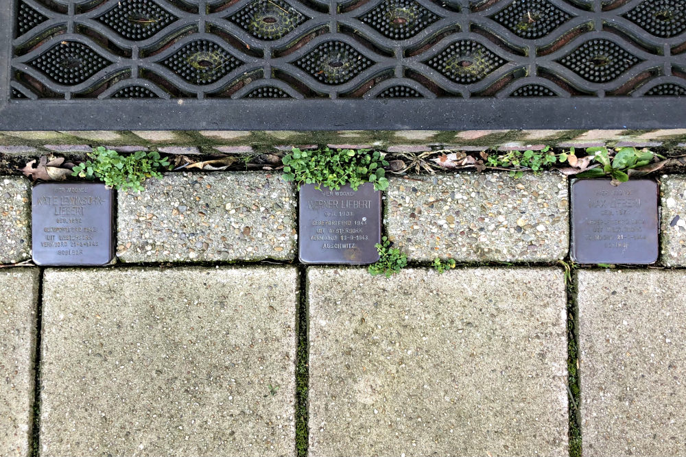 Stolpersteine Parkweg 51 #1